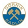 KS G�rnik Radlin