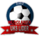 Lider W�oc�awek
