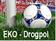 EKO-Drogpol