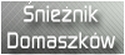 �NIE�NIK DOMASZK�W