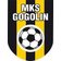 MKS Gogolin II