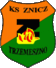 Znicz Trzemeszno
