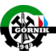 G�rnik Grabownica (s)