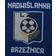 LKS Nadwi�lanka Brze�nica