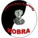 LKS Kobra Le�nica Wielka