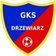 Drzewiarz Rzeczenica
