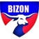 Bizon Jeleniec