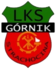G�rnik Strachocina