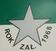 COSMOS RADZIM�W