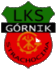 G�rnik Strachocina
