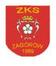 ZKS Zag�r�w