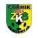 G�rnik Z�otoryja