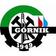 G�rnik Grabownica