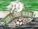 JURAJSKIE WILKI Cz�stochowa