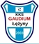 Gaudium ��yny
