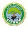 Platan Sich�w