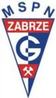 G�rnik Zabrze SSA
