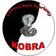 LKS Kobra Le�nica Wielka