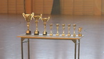 Fina Halowej Ligi Radziki Due 2012/ 2013