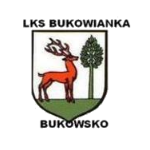 herb LKS Bukowsko (b)