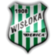 Wisłoka Dębica