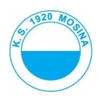 herb 1920 Mosina