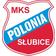 herb POLONIA SUBICE