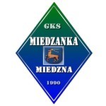herb Miedzanka Miedzna(b)