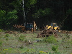 Etap II - Wycinanie drzew i wyrywanie korzeni