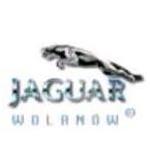 herb Jaguar  Wolanw
