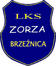 Zorza Brzenica