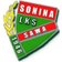 Sawa Sonina