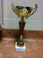 11.02.2012 Turniej Sparta Cup 2012 rocznika 2001