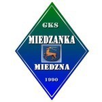 herb Miedzanka Miedzna