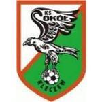 herb  Sokół II Kleczew