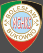 herb Bolesaw Bukowno