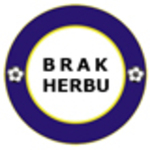 herb ORY BOROWA