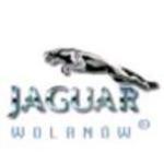herb Jaguar Wolanw