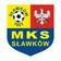 MKS Sawkw