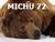Profil Michu72 w Futbolowo
